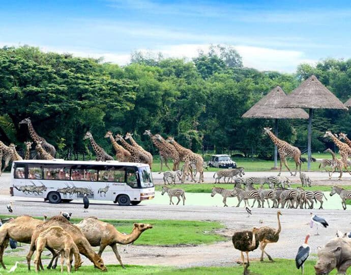 Bangkok excursion