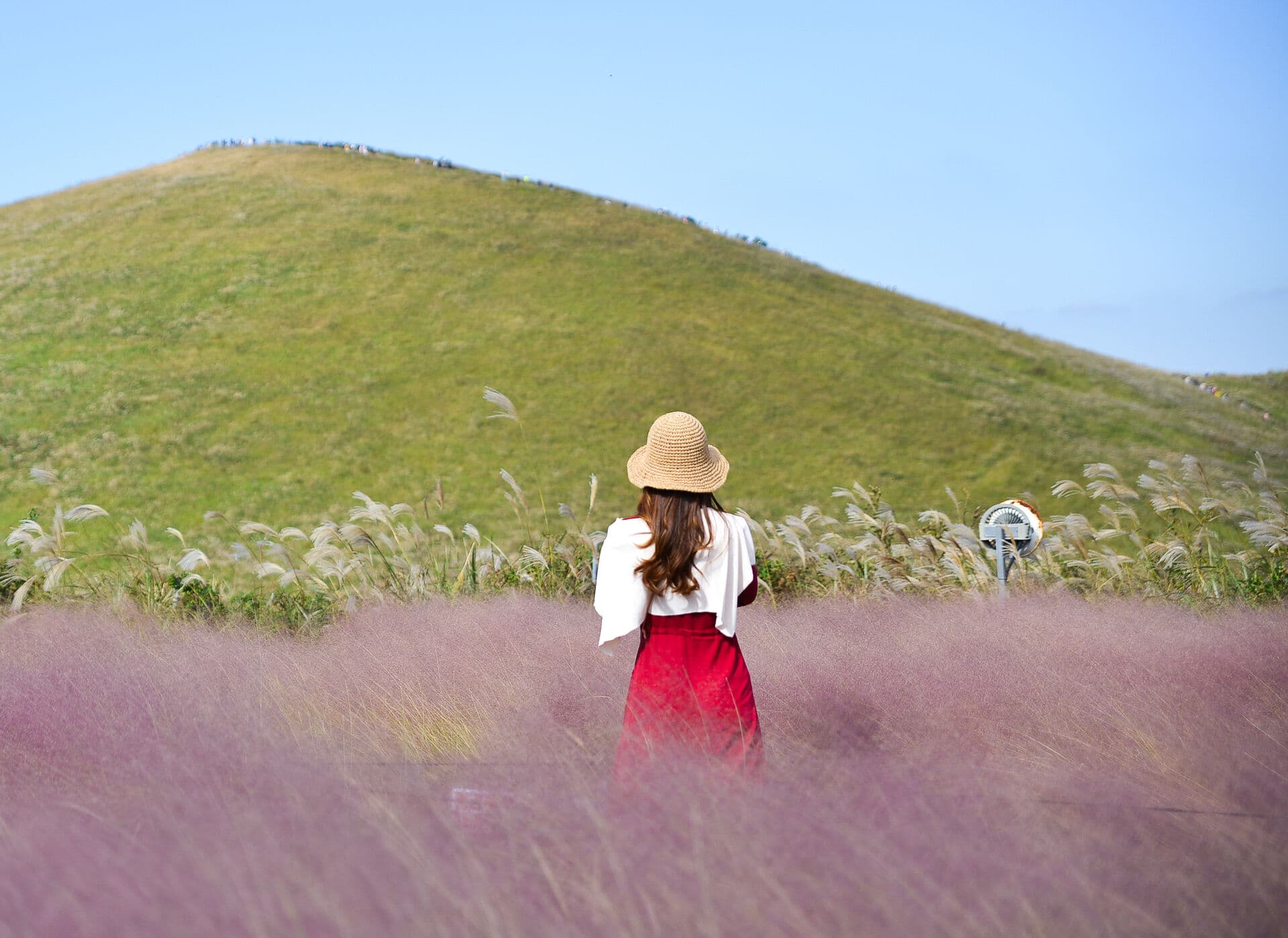 Jeju excursion