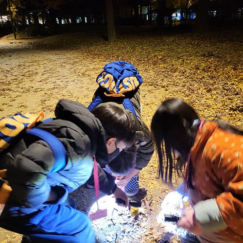 Seoul excursion