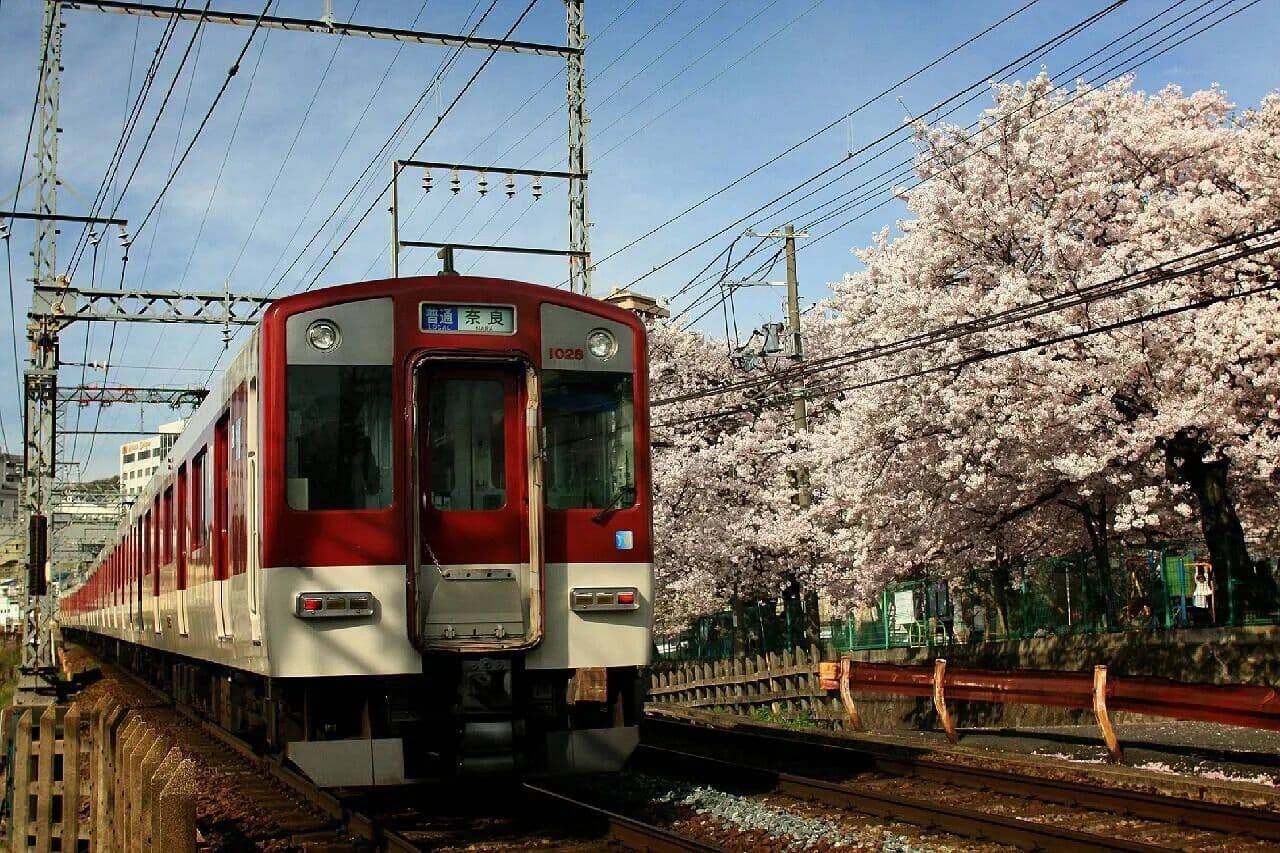 Osaka excursion