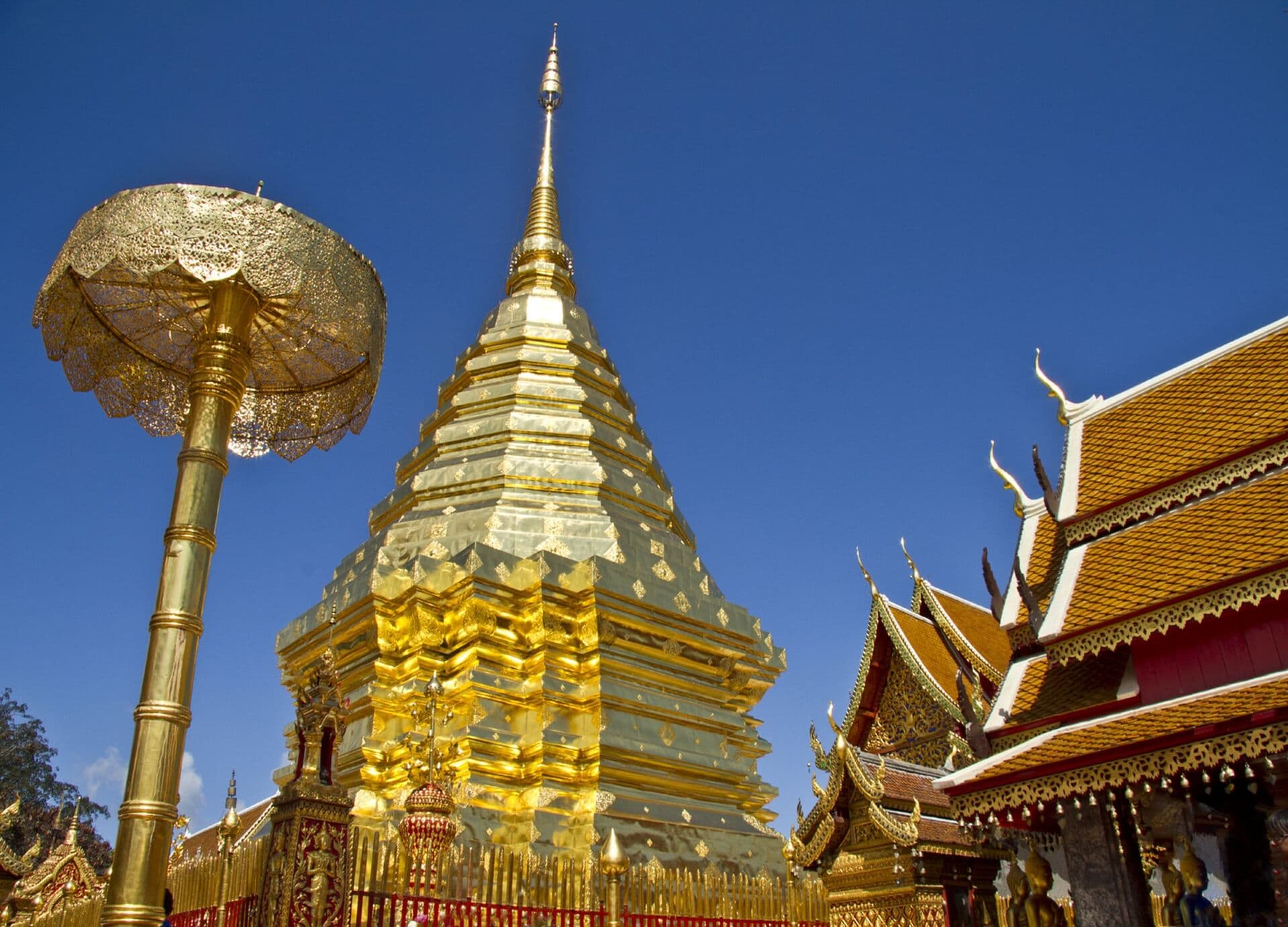 Chiang Mai excursion