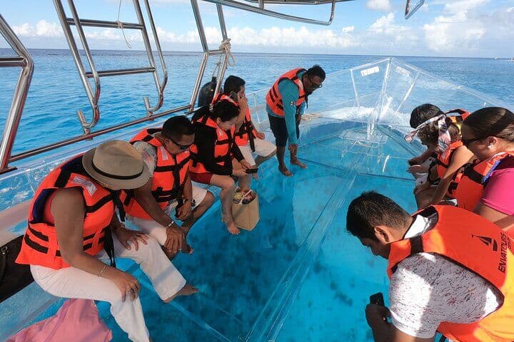 Cozumel ClearBoat 스노클링 모험