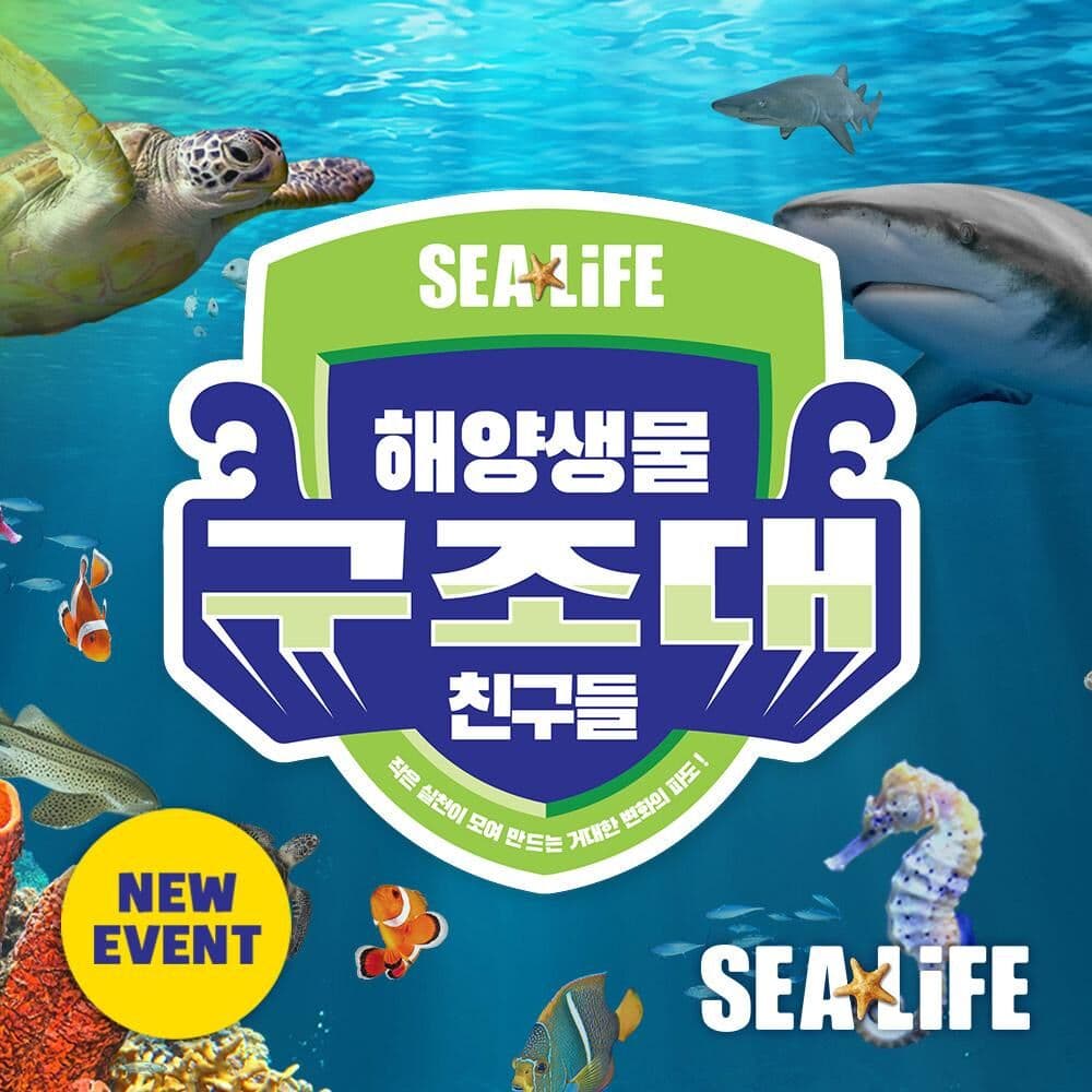 Busan 行程