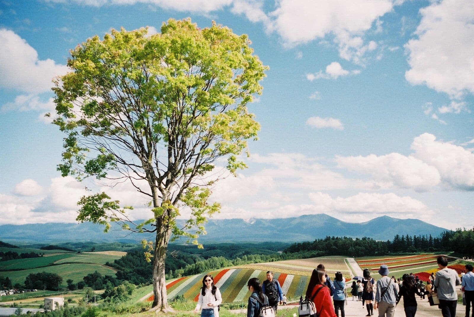 Sapporo tour